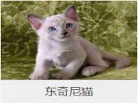 新沂市邵店安达商贸有限公司