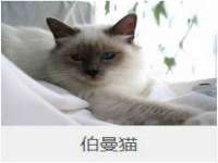 新沂市邵店安达商贸有限公司