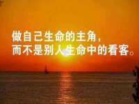 新沂市邵店安达商贸有限公司