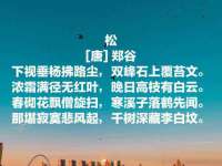 新沂市邵店安达商贸有限公司