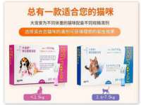 新沂市邵店安达商贸有限公司